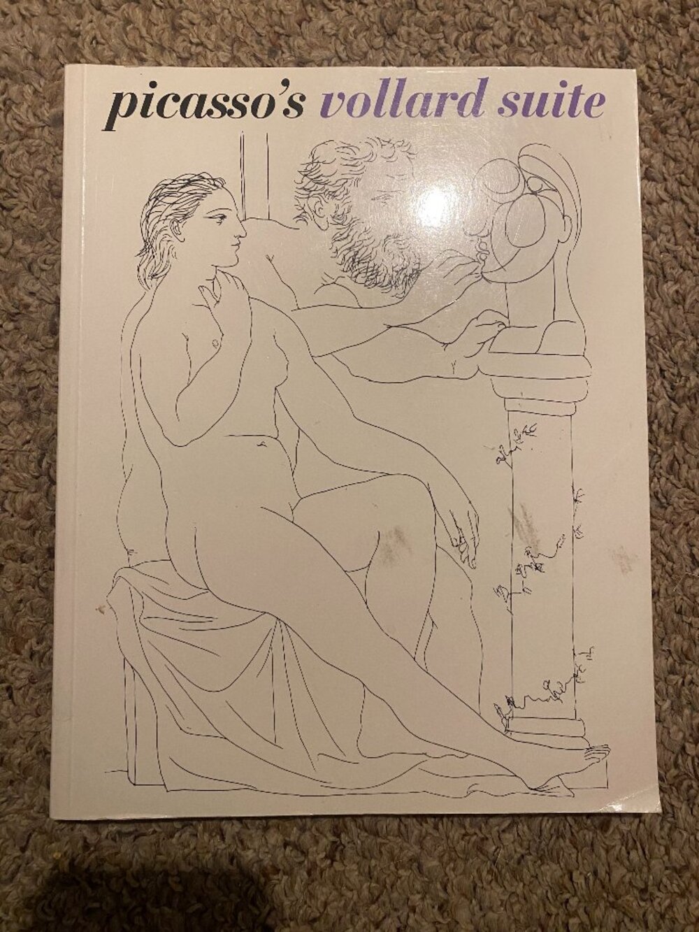 book about Picasso's Vollard suite (softcover)